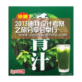 2013迪拜设计考察之旅分享会举行——分享奢华艺术：九游官网