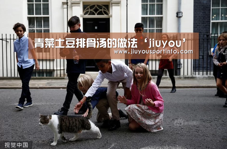 青菜土豆排骨汤的做法‘jiuyou’(图4) 九游